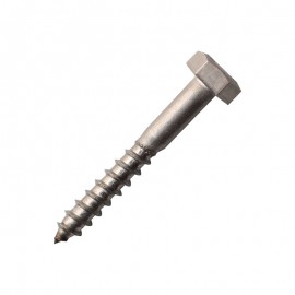 stainless steel coach screw