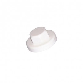 plastic cap