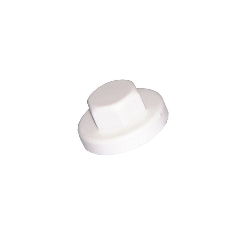 plastic cap