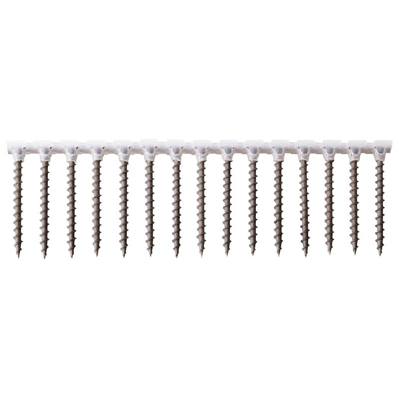 Collated screws for plasterboard